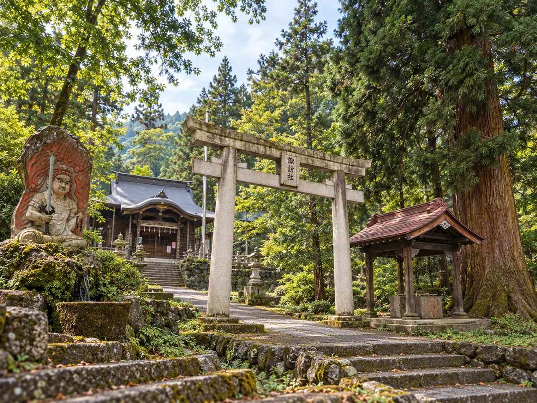 鳥居と社殿、杉の木立が見える神社の境内